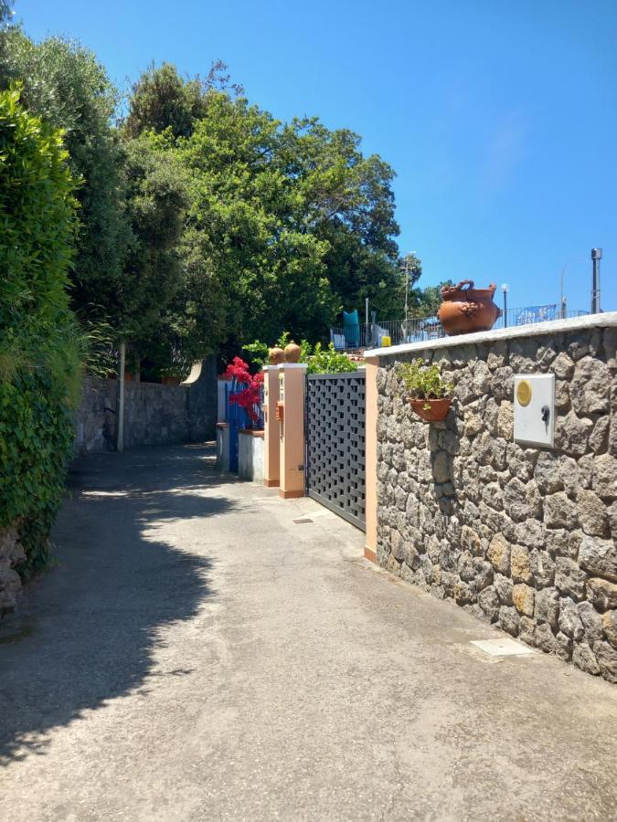 Villetta Panoramica Forio di Ischia Buitenkant foto