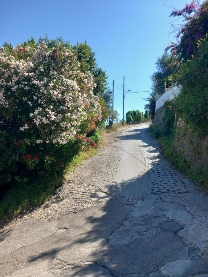 Villetta Panoramica Forio di Ischia Buitenkant foto