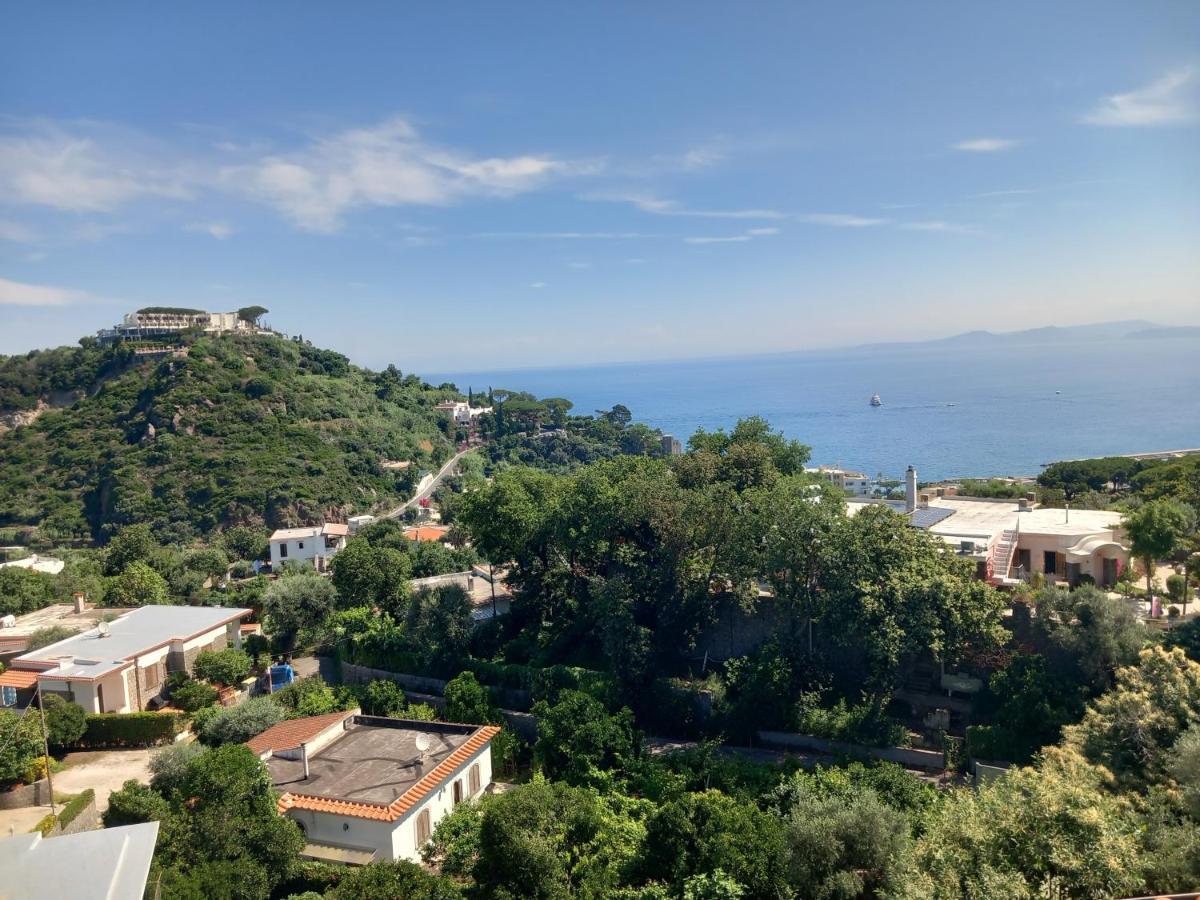 Villetta Panoramica Forio di Ischia Buitenkant foto